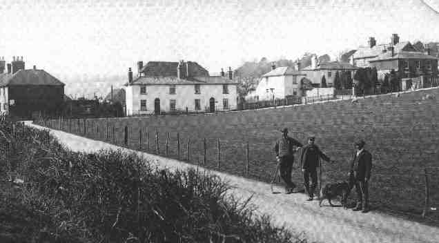 PICTURE F - WEST END & DULLY HILL EARLY 1900'S